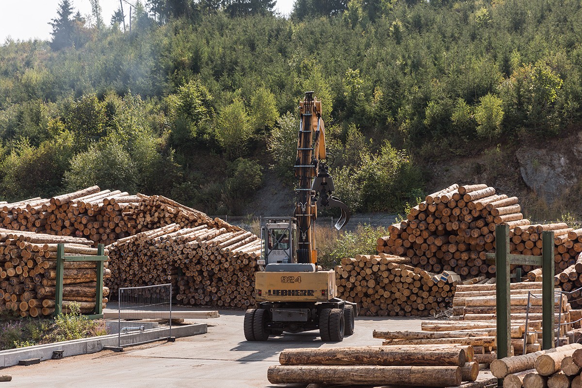 Künzel Holz Issigau Rundholzplatz